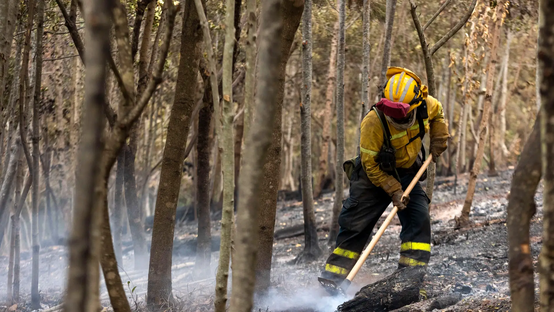 Evacuadas unas 3.000 personas en Tenerife por la reactivación de un incendio forestal