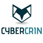 Cybercrin 
