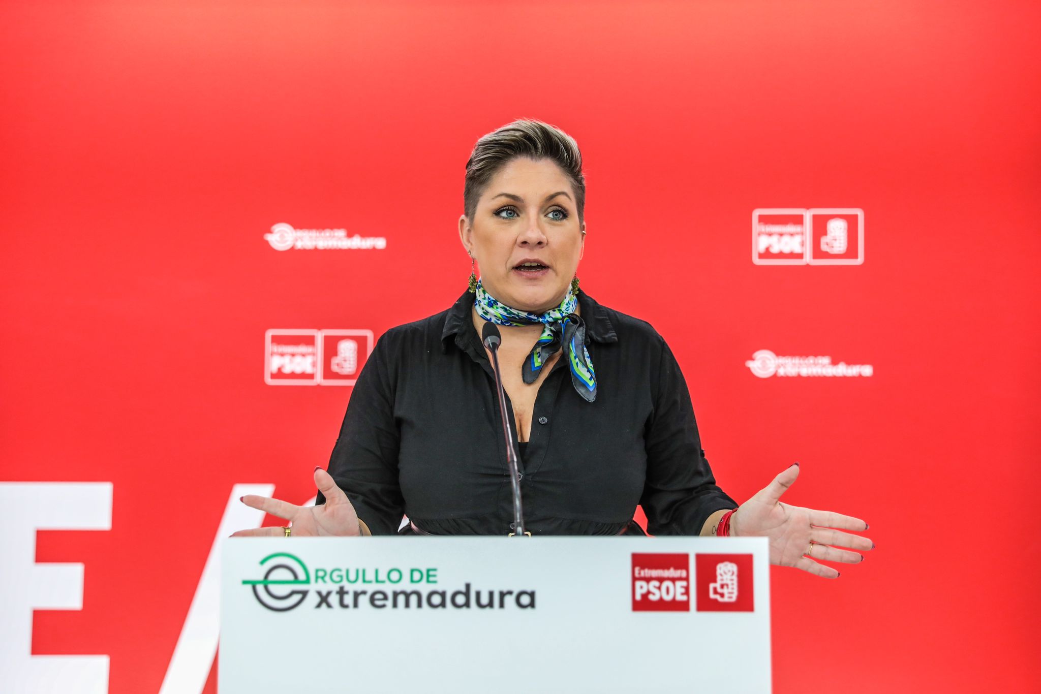 El PSOE extremeño subraya que actuó con "valentía" en defensa de la región en su regulación sobre el litio El PSOE extremeño subraya que actuó con "valentía" en defensa de la región en su regulación sobre el litio