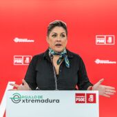 El PSOE extremeño subraya que actuó con "valentía" en defensa de la región en su regulación sobre el litio