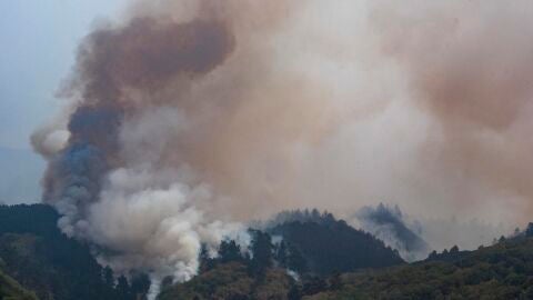 El Gobierno canario activa el nivel 2 del incendio forestal en Tenerife