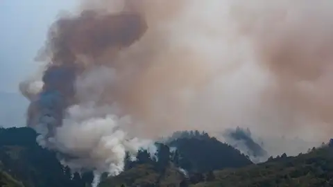El Gobierno canario activa el nivel 2 del incendio forestal en Tenerife El Gobierno canario activa el nivel 2 del incendio forestal en Tenerife