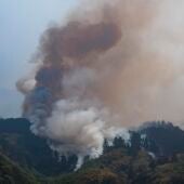 El Gobierno canario activa el nivel 2 del incendio forestal en Tenerife