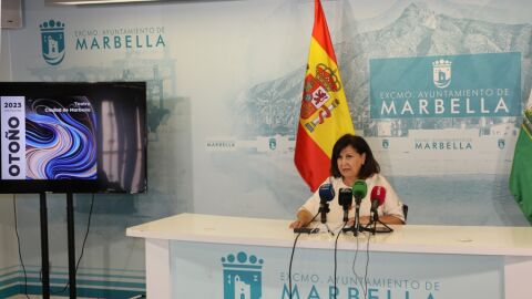la directora general de Cultura, Carmen D&iacute;az, en rueda de prensa