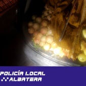 La Policía Local de Albatera recupera 600 kilos de gra-nada sustraídas de la zona rural del municipio 