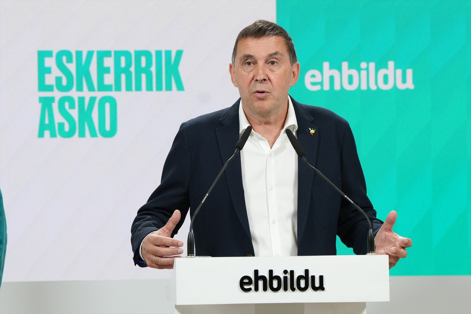 Otegi "rechaza" los "inadmisibles" ataques al monolito y al panteón de Fernando Buesa Otegi "rechaza" los "inadmisibles" ataques al monolito y al panteón de Fernando Buesa