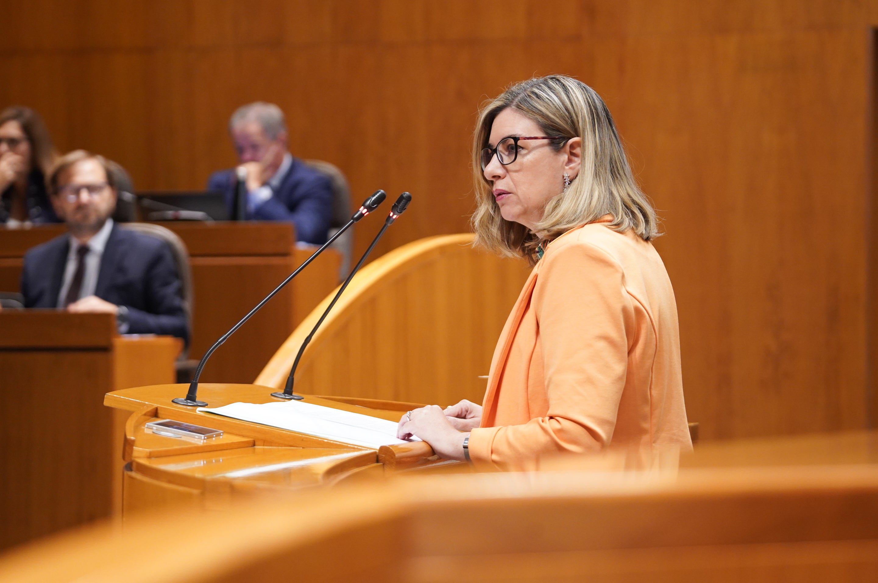 El Gobierno de Aragón prevé contratar a otras 86 auxiliares de educación El Gobierno de Aragón prevé contratar a otras 86 auxiliares de educación