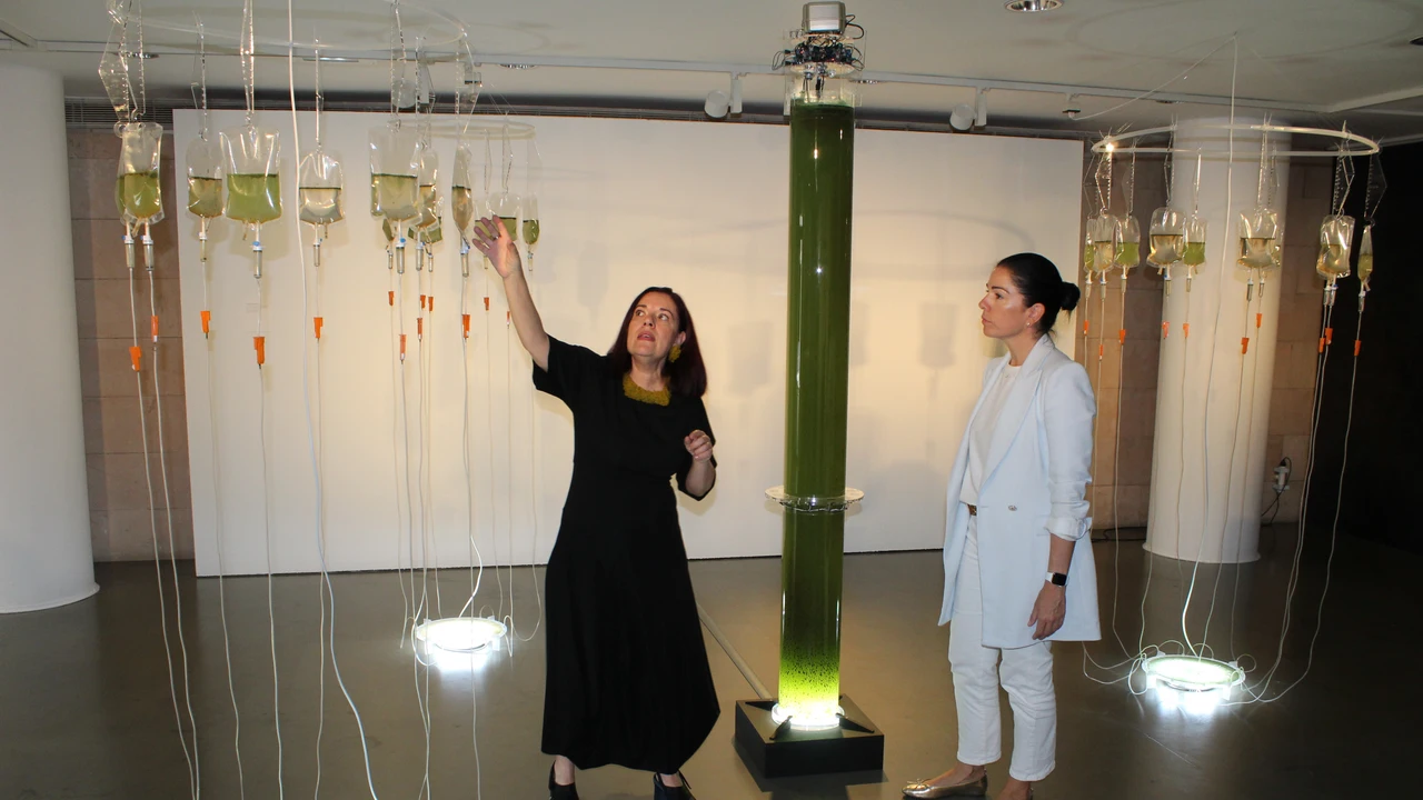 Esther Pizarro ha inaugurado su exposición.