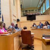 Pleno en el Ayuntamiento de Segovia