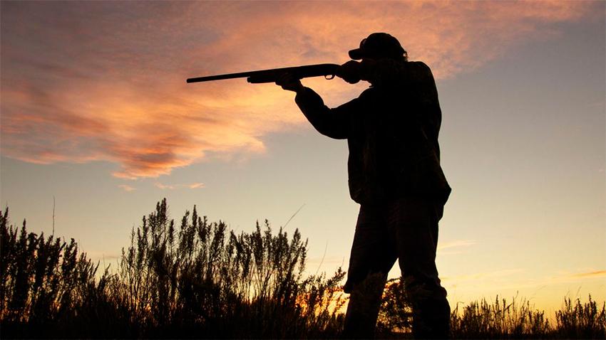Un ciclista herido de gravedad por un cazador en un bosque de Girona Un ciclista herido de gravedad por un cazador en un bosque de Girona