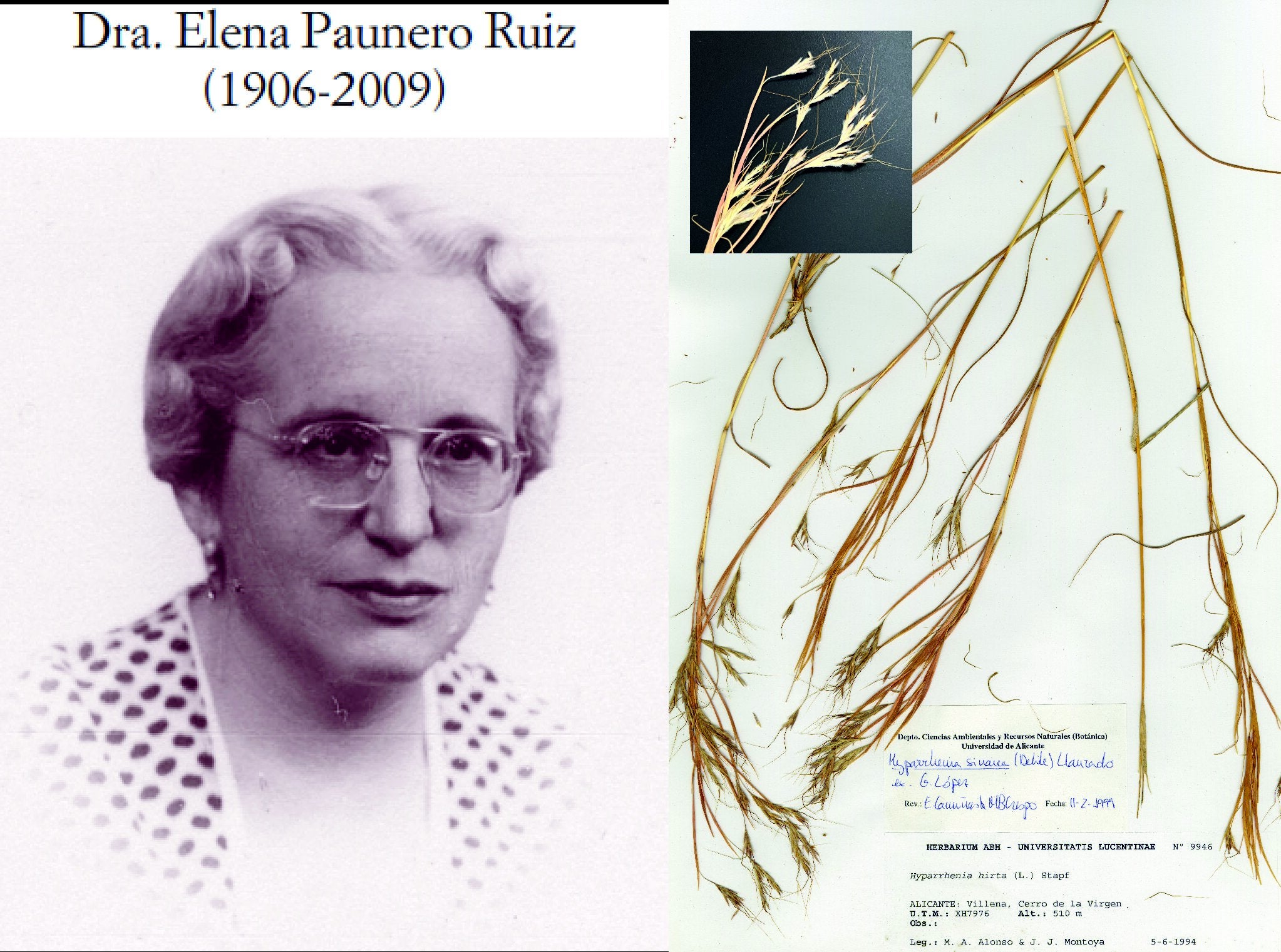 Elena Paunero, la botánica más importante del siglo XX en España. Elena Paunero, la botánica más importante del siglo XX en España.