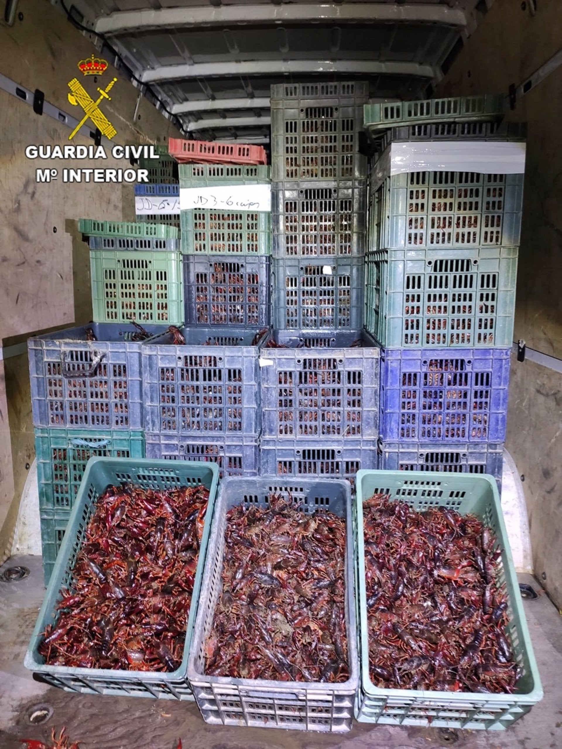 Intervienen en Almendralejo 1.500 kilos de cangrejos rojos de río transportados sin autorización Intervienen en Almendralejo 1.500 kilos de cangrejos rojos de río transportados sin autorización