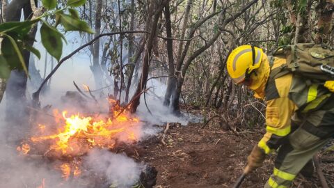 Se reactiva de nuevo el incendio de Tenerife