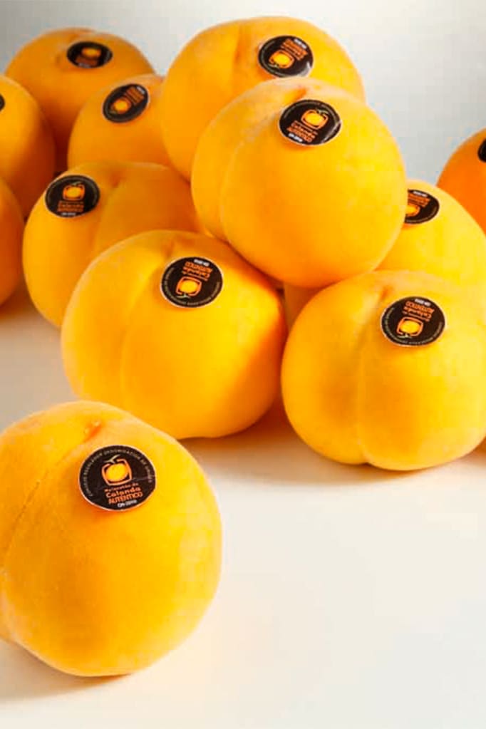 El melocotón de Calanda con Denominación de Origen que llega a toda Europa El melocotón de Calanda con Denominación de Origen que llega a toda Europa