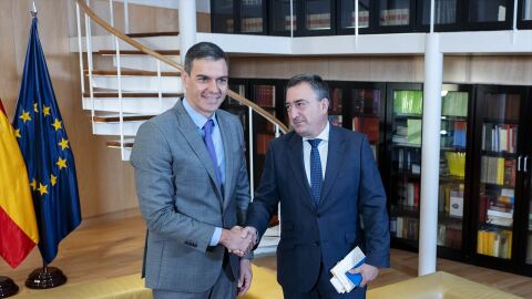 El presidente del Gobierno en funciones, Pedro S&aacute;nchez, recibe al portavoz del PNV en el Congreso, Aitor Esteban.