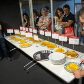 Algunhas das mellores tortillas españolas levan Pataca de Galicia Algunhas das mellores tortillas españolas levan Pataca de Galicia