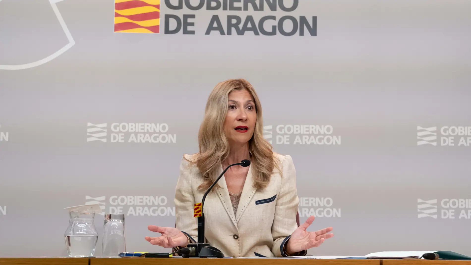 El Gobierno de Aragón autoriza la contratación de 104 auxiliares de educación