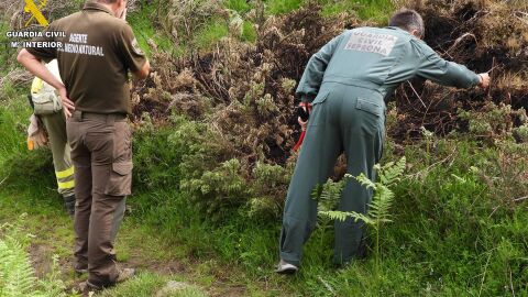 Guardia Civil y agentes del Medio Natural investigan los incendios forestales 