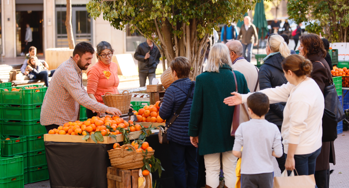 El Mercat de la Taronja regresa este domingo en las plazas Fadrell y María Agustina El Mercat de la Taronja regresa este domingo en las plazas Fadrell y María Agustina