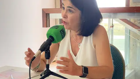 La alcaldesa de Las Palmas de Gran Canaria, Carolina Darias, presentó durante esta jornada el futuro Plan Municipal de Salud Mental Carolina Darias