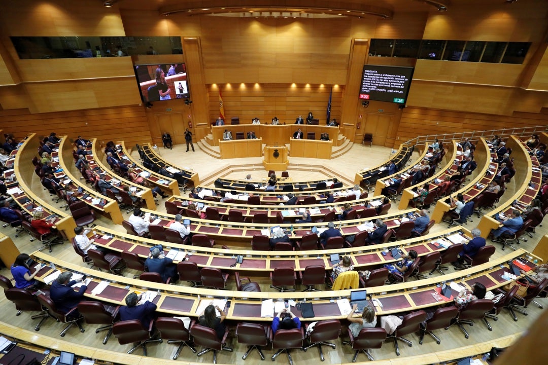 El PP despliega su amplio poder en las autonomías y en el Senado en contra de la amnistía El PP despliega su amplio poder en las autonomías y en el Senado en contra de la amnistía