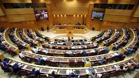 El PP despliega su amplio poder en las autonomías y en el Senado en contra de la amnistía El PP despliega su amplio poder en las autonomías y en el Senado en contra de la amnistía