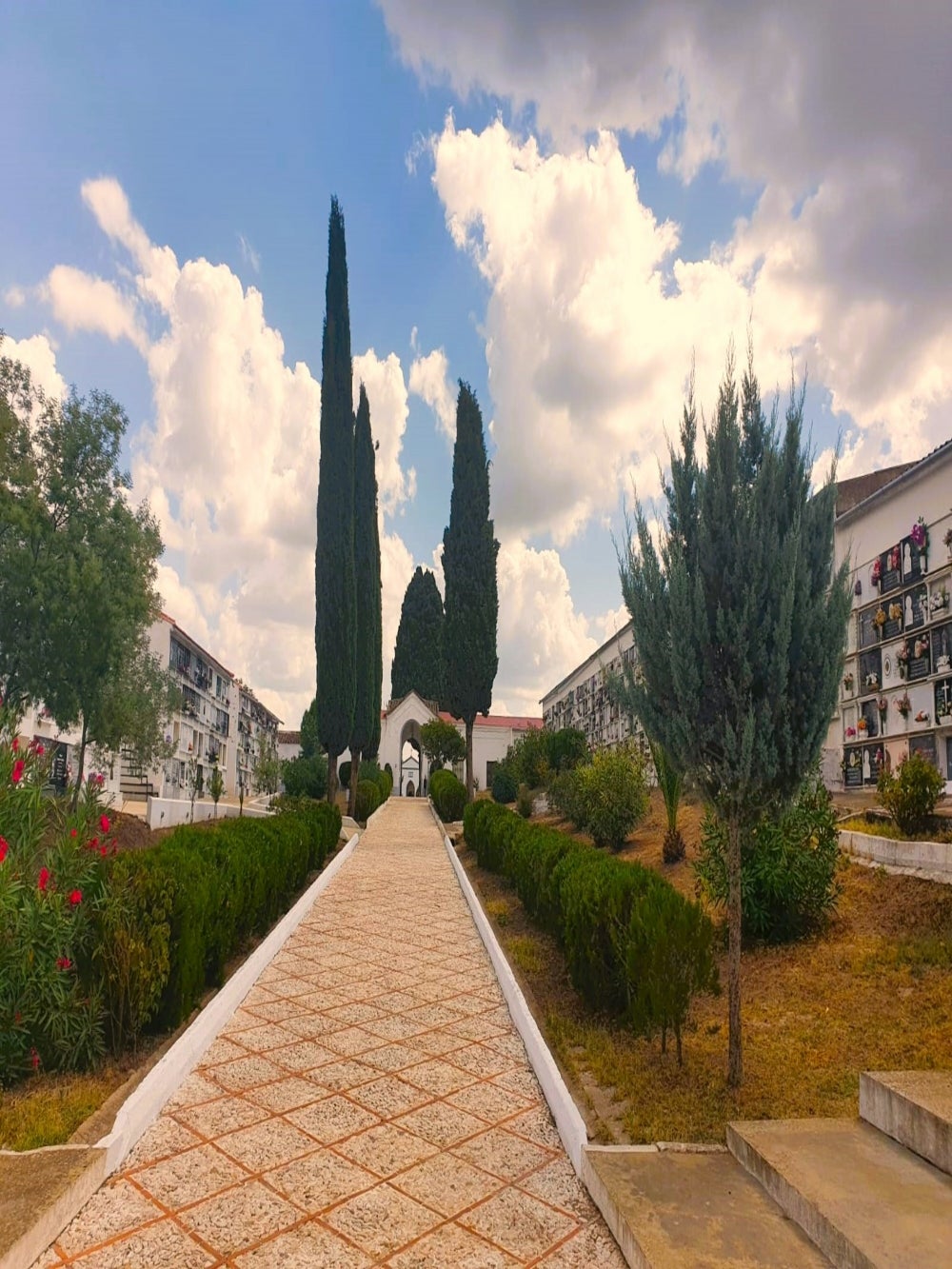 El cementerio de Fuentes de León participa en el Concurso para ser el mejor camposanto de España El cementerio de Fuentes de León participa en el Concurso para ser el mejor camposanto de España