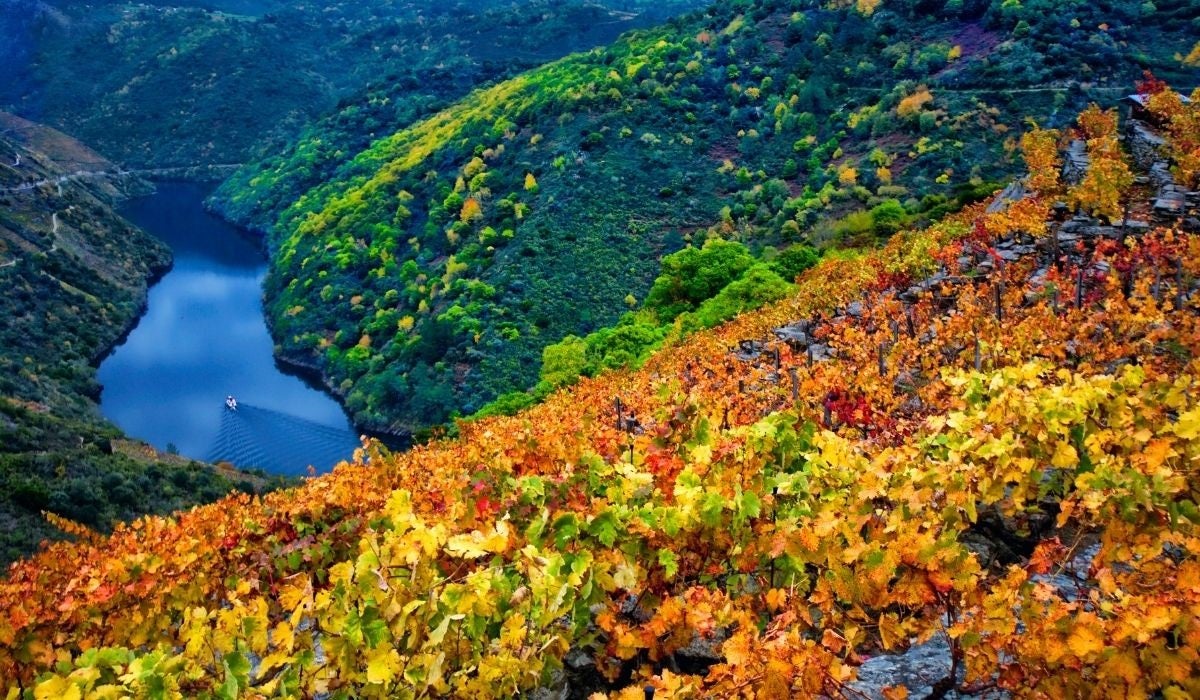 Ribeira Sacra, idílico paraje con maravillosos vinos Ribeira Sacra, idílico paraje con maravillosos vinos