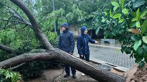 El Meteocam atiende 600 incidencias en la región, más de la mitad en Toledo El Meteocam atiende 600 incidencias en la región, más de la mitad en Toledo