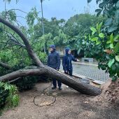 El Meteocam atiende 600 incidencias en la región, más de la mitad en Toledo 