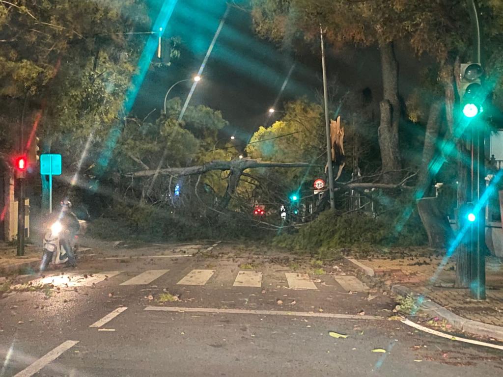 Noticias de Córdoba matinal 23/10/2023 Noticias de Córdoba matinal 23/10/2023