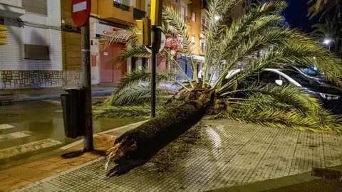 La borrasca Bernard deja un muerto en Huelva y causa estragos en varias provincias de Andalucía La borrasca Bernard deja un muerto en Huelva y causa estragos en varias provincias de Andalucía