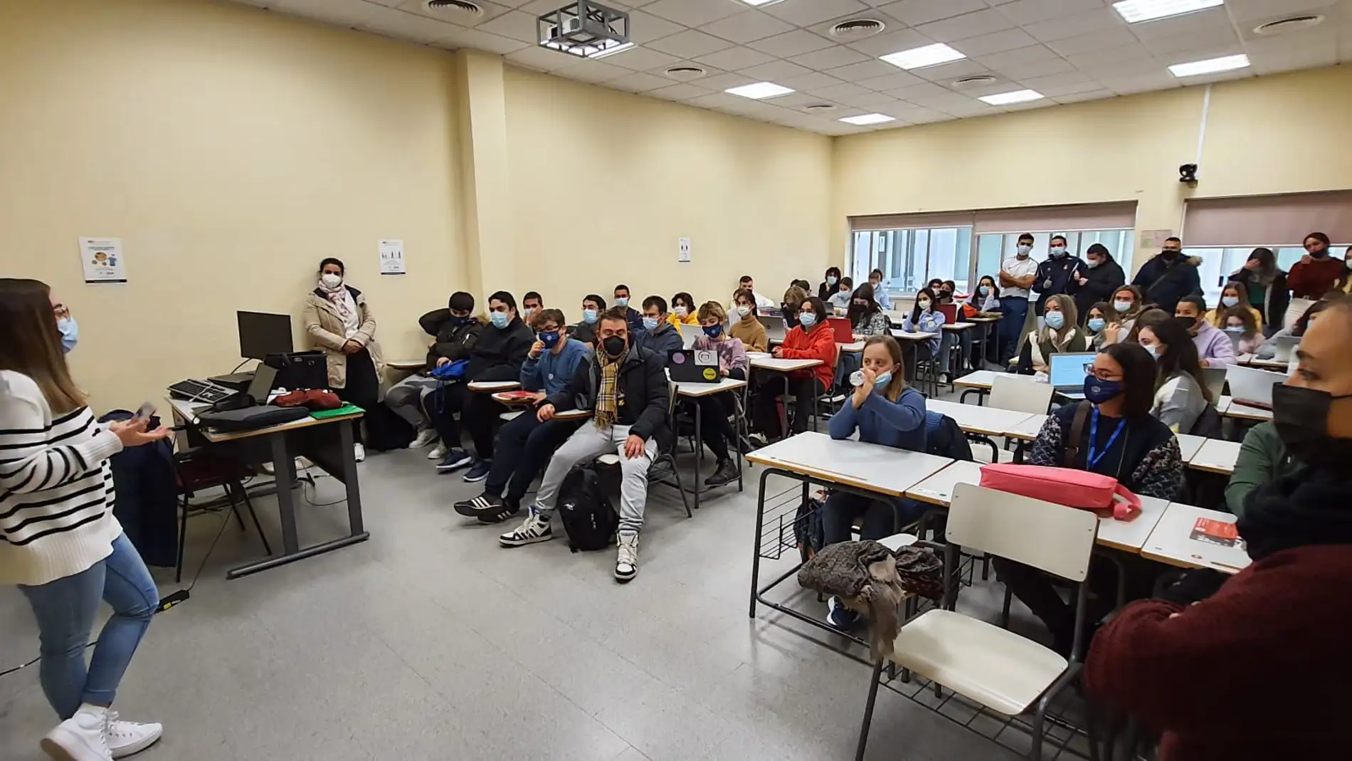 Jóvenes con discapacidad intelectual se forman en competencias para el empleo en la Universidad de Córdoba