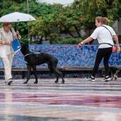 Primeras lluvias de octubre de 2023 en Canarias
