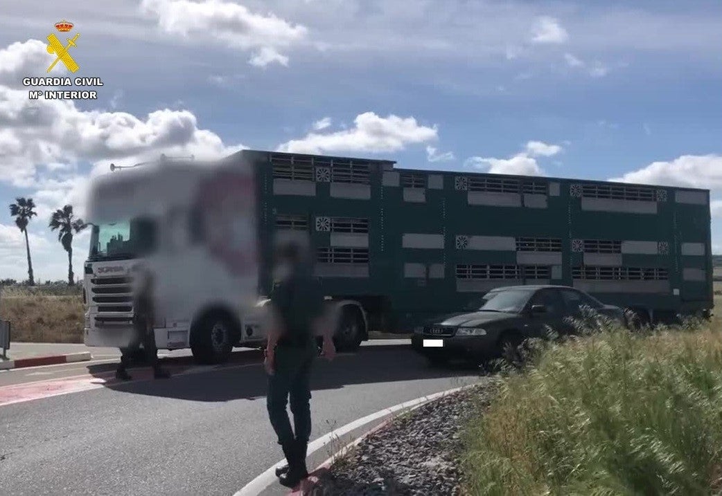 La Guardia Civil investiga a diecisiete personas en Ciudad Real por falsedad documental La Guardia Civil investiga a diecisiete personas en Ciudad Real por falsedad documental