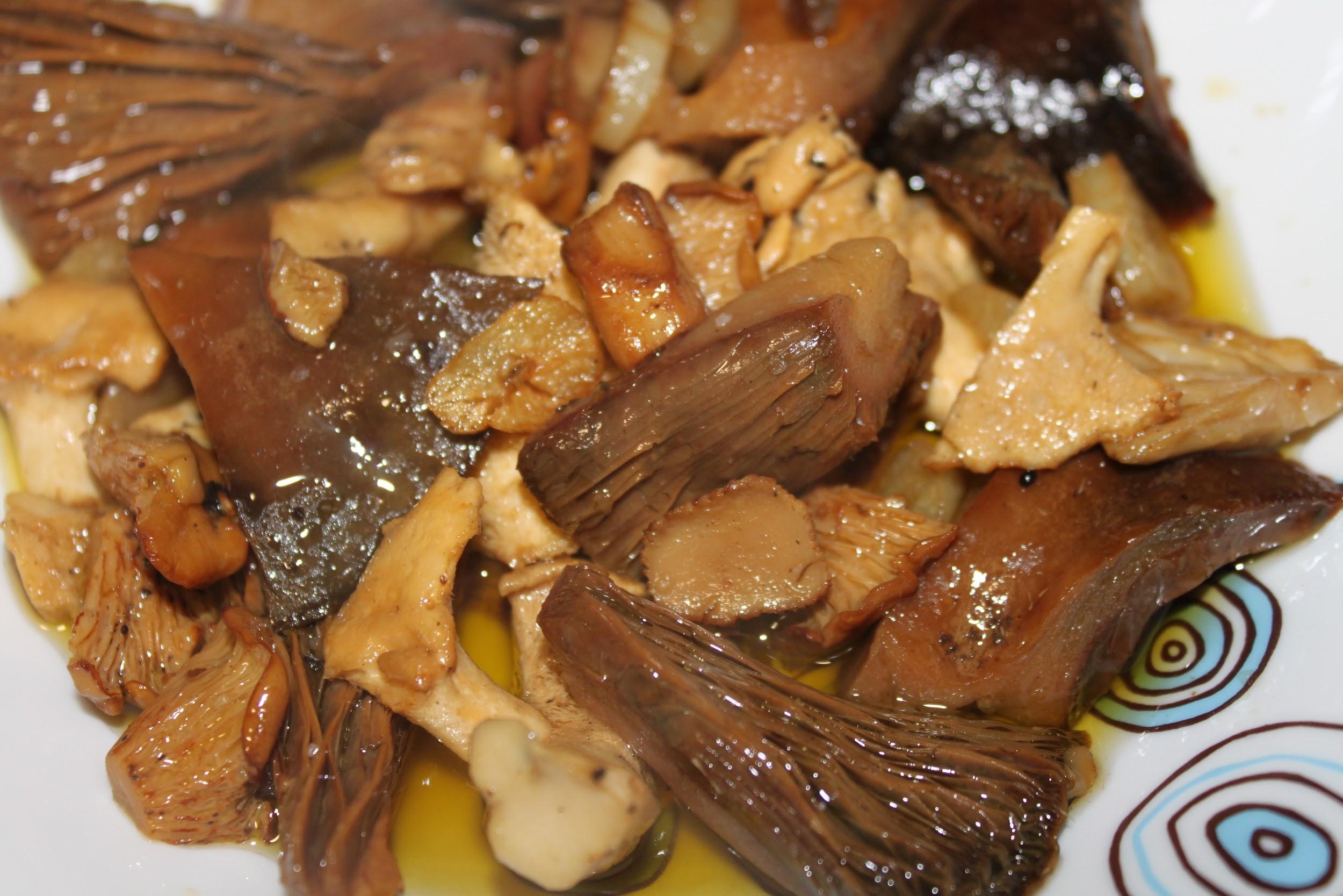 Descubre las más de 150 recetas con setas de Alicante y de la Comunidad Valenciana Descubre las más de 150 recetas con setas de Alicante y de la Comunidad Valenciana