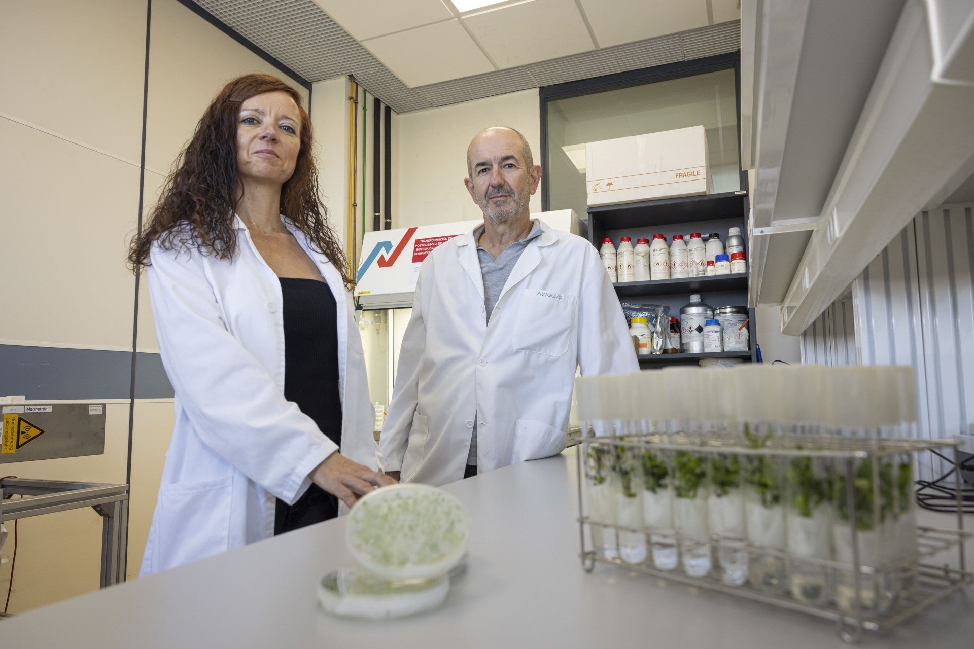 La UJI participa en un proyecto para mejorar el tratamiento postcosecha de cítricos La UJI participa en un proyecto para mejorar el tratamiento postcosecha de cítricos