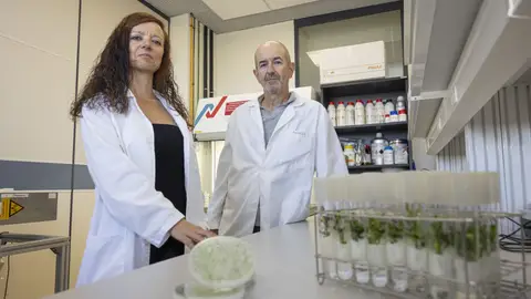 La UJI participa en un proyecto para mejorar el tratamiento postcosecha de cítricos La UJI participa en un proyecto para mejorar el tratamiento postcosecha de cítricos