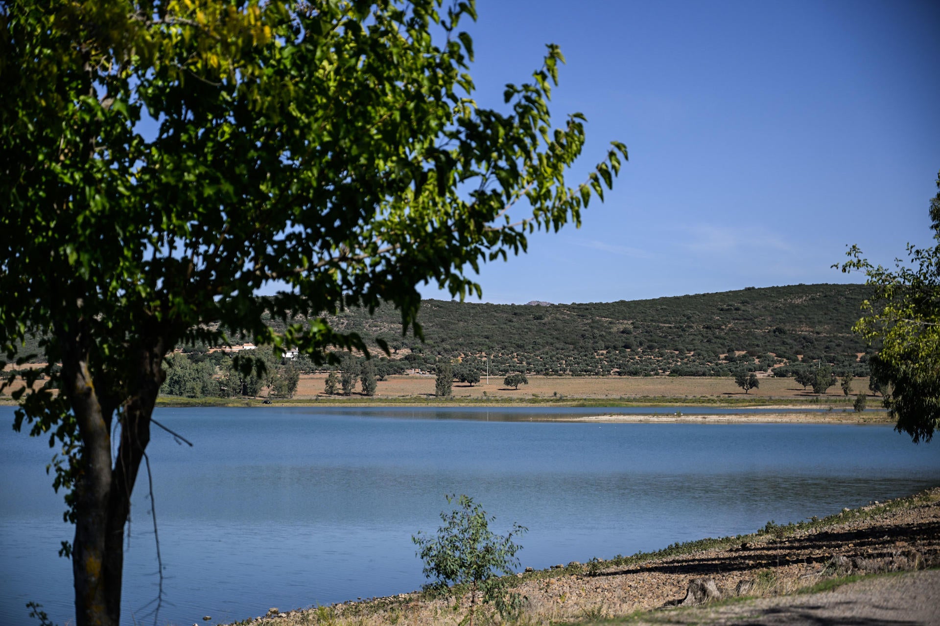 Los embalses rompen la tendencia a la baja y suben esta semana por las últimas lluvias Los embalses rompen la tendencia a la baja y suben esta semana por las últimas lluvias