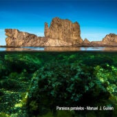 XXIV Concurso de Fotografía 'Espacios Naturales de Almería'