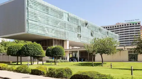 Benidorm plantará más arbolado con fondos europeos Benidorm plantará más arbolado con fondos europeos
