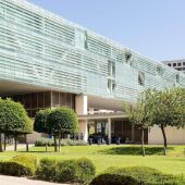 Benidorm plantará más arbolado con fondos europeos