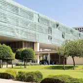 Benidorm plantará más arbolado con fondos europeos Benidorm plantará más arbolado con fondos europeos