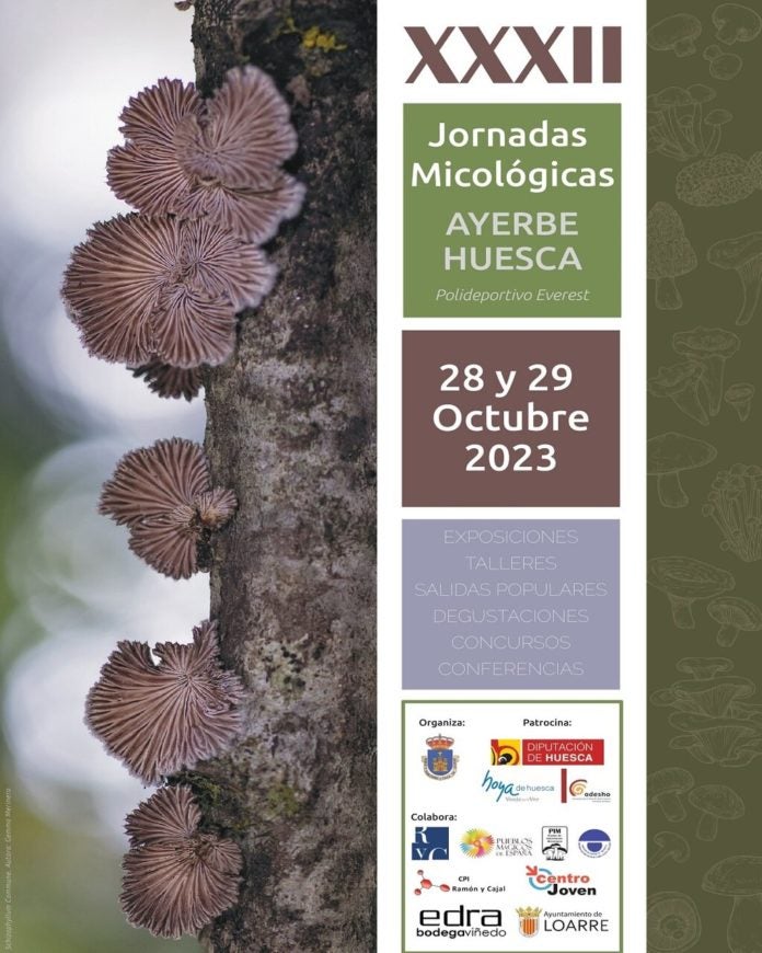 Ayerbe celebrará este fin de semana las XXXII Jornadas Micológicas Ayerbe celebrará este fin de semana las XXXII Jornadas Micológicas