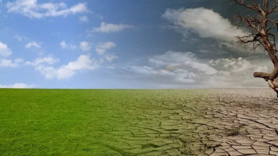 Cambio clim&aacute;tico