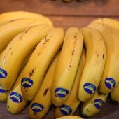 Plátano de Canarias 