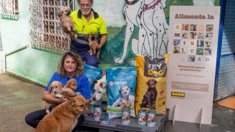 Gadis reparte productos entre 70 protectoras de animais