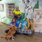 Gadis reparte productos entre 70 protectoras de animais Gadis reparte productos entre 70 protectoras de animais