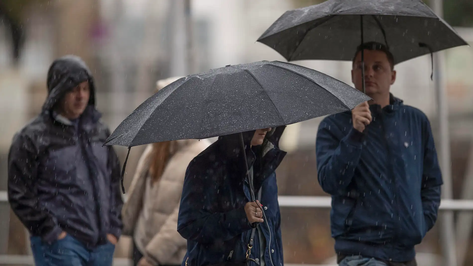 Fotografía de varias personas portando paraguas en Vigo (Pontevedra)