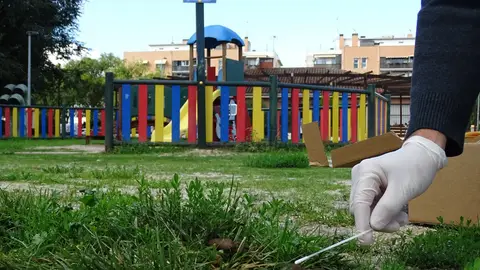 La Policía Local de Alcalá de Henares comienza la recogida de muestras de ADN canino Recogida de muestras de ADN canino junto a un parque infantil de Alcalá de Henares